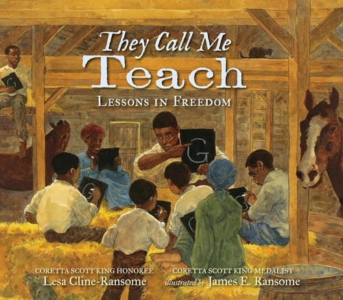 Cover of They Call Me Teach Lessons in Freedom