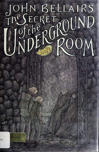 Cover of The Secret of the Underground Room