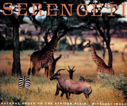 Cover of Serengeti Natural Order on the African Plain