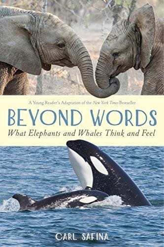 Cover of Beyond Words: What Elephants and Whales Think and Feel
