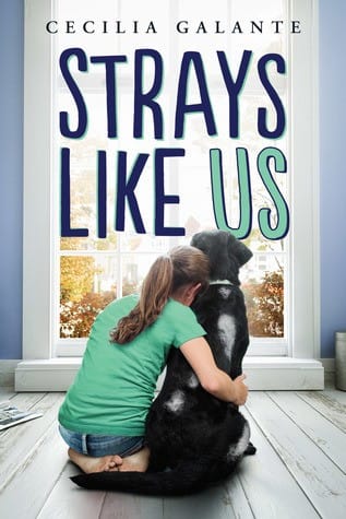 Cover of Strays Like Us