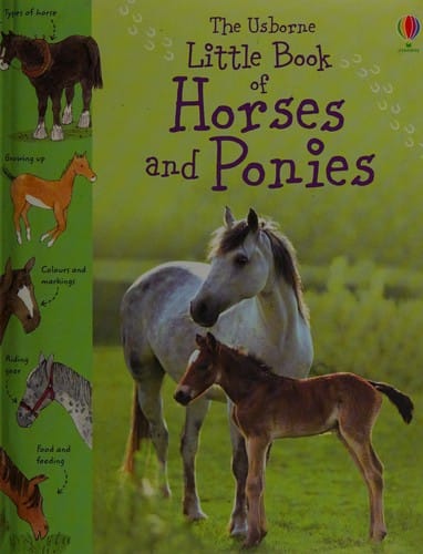Cover of Little Book of Horses and Ponies