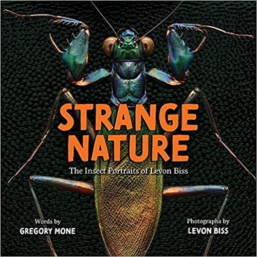 Cover of Strange Nature The Insect Portraits of Levon Biss