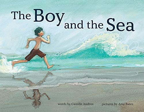 Cover of The Boy and the Sea