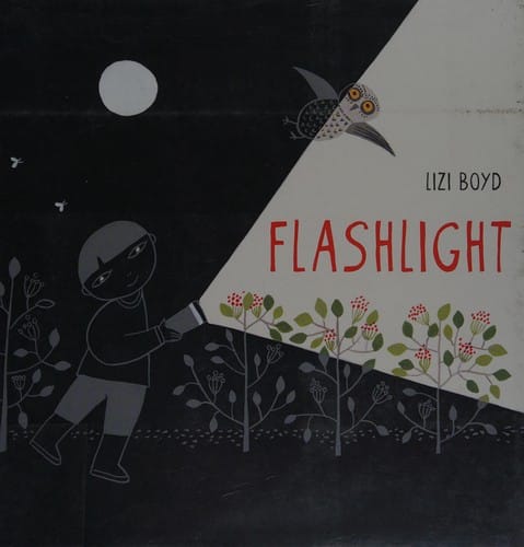 Cover of Flashlight