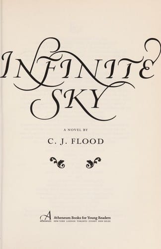 Cover of Infinite Sky