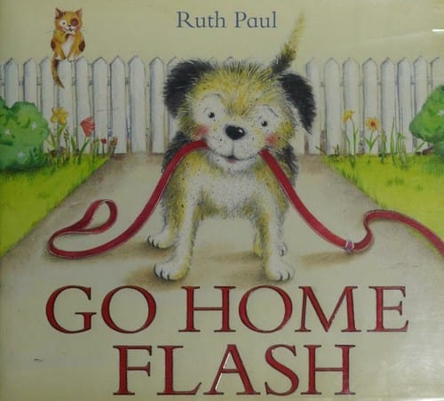 Cover of Go Home Flash