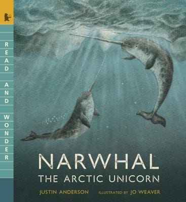 Cover of Narwhal: The Arctic Unicorn