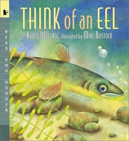 Cover of Think of an Eel
