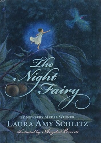 Cover of The Night Fairy