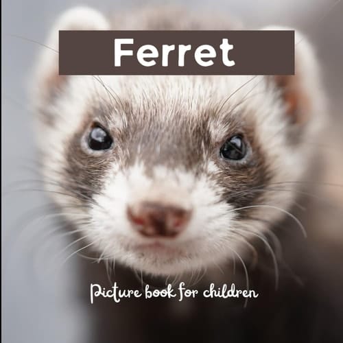 Cover of Ferret Picture Book for Children