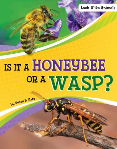 Cover of Is It a Honeybee Or a Wasp?