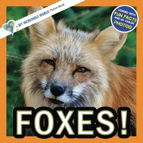 Cover of Foxes!