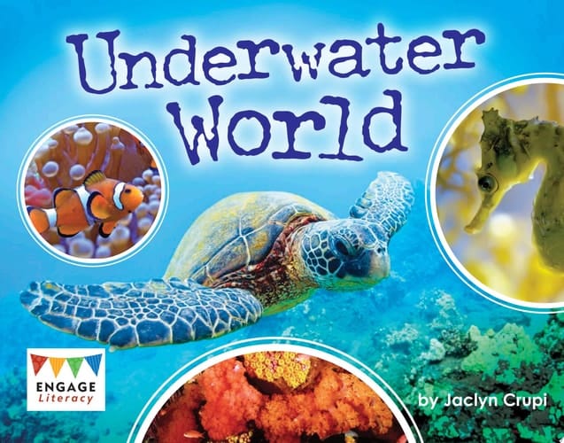 Cover of Underwater World Text Form: Informational Text