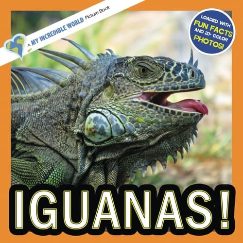 Cover of Iguanas!: A My Incredible World Picture Book for Children