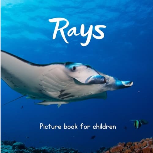 Cover of Rays Picture Book for Children