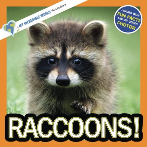 Cover of Raccoons! A My Incredible World Picture Book for Children