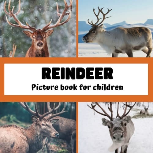 Cover of Reindeer: Picture Book for Children