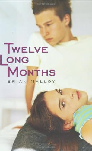 Cover of Twelve Long Months