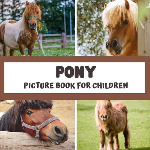 Cover of Picture book for children - Pony: Discover ponies in pictures