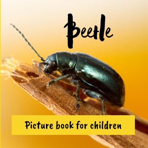 Cover of Beetle Picture Book for Children