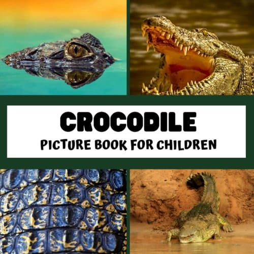 Cover of Crocodile: Discovering Crocodile in pictures