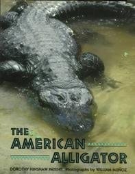 Cover of The American Alligator