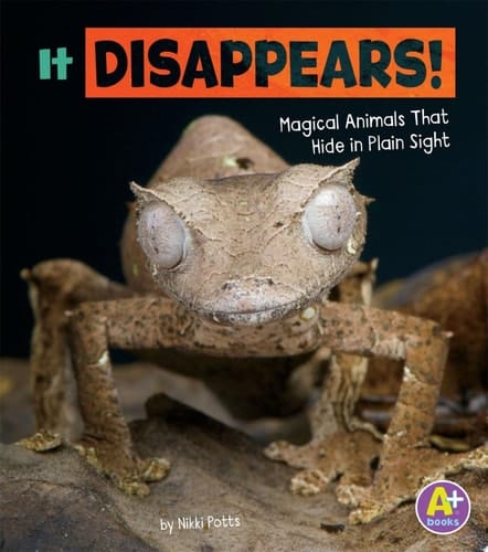 Cover of It Disappears! Magical Animals That Hide in Plain Sight