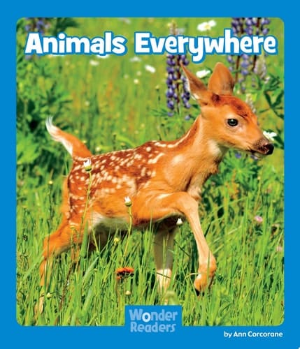 Cover of Animals Everywhere