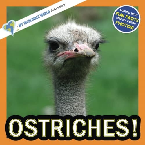 Cover of Ostriches!