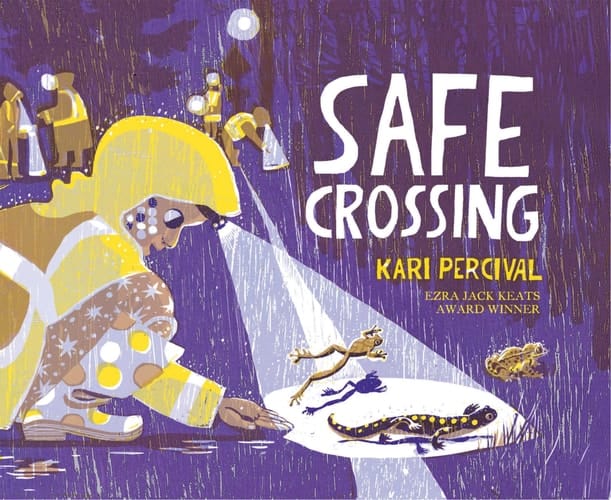 Cover of Safe Crossing