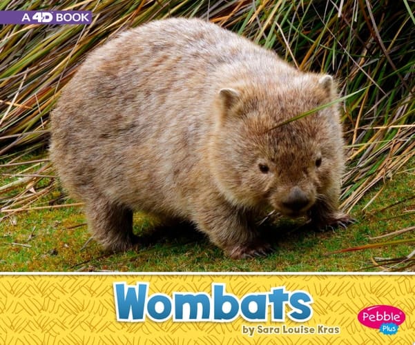 Cover of Wombats
