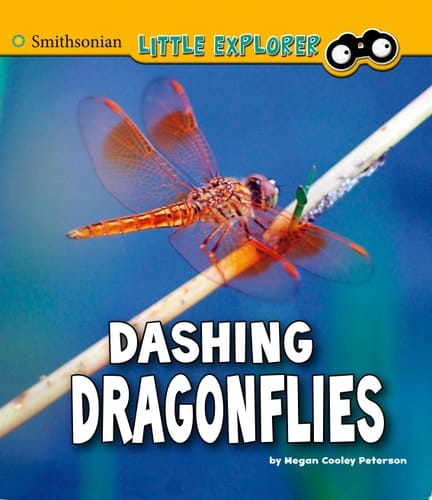 Cover of Dashing Dragonflies A 4D Book