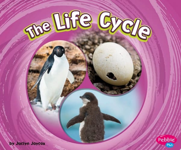 Cover of The Life Cycle