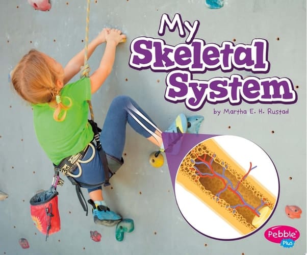 Cover of My Skeletal System A 4D Book