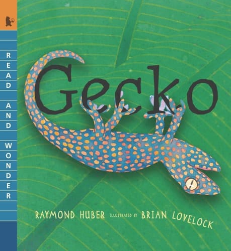 Cover of Gecko