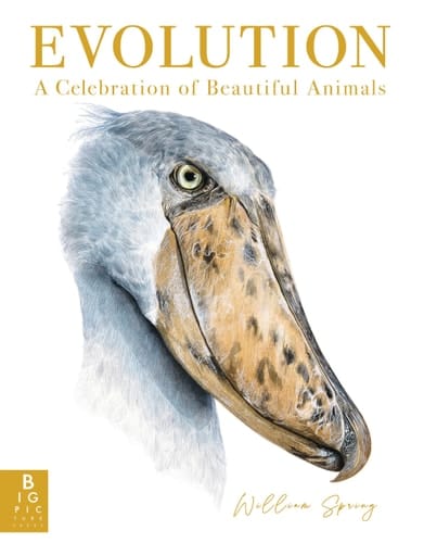 Cover of Evolution: a Celebration of Beautiful Animals