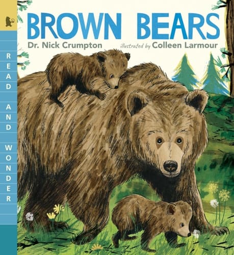 Cover of Brown Bears Read and Wonder