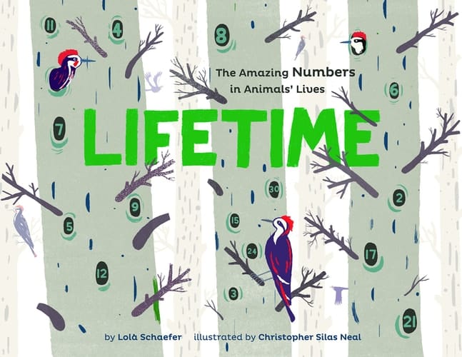 Cover of Lifetime The Amazing Numbers in Animal Lives