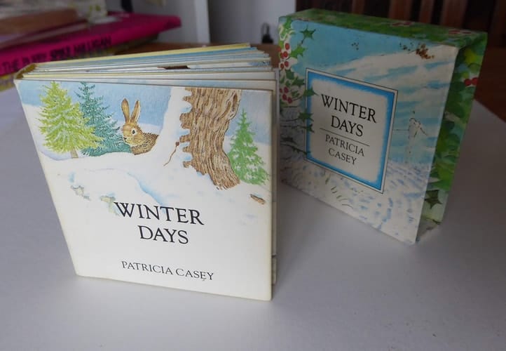 Cover of Winter Days