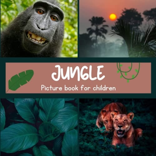 Cover of Jungle: Discovering Jungle in pictures