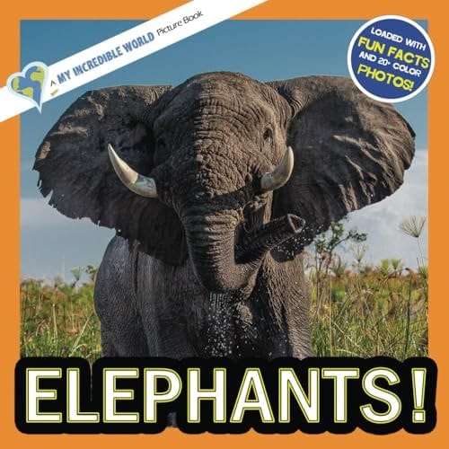 Cover of Elephants!: A My Incredible World Picture Book for Children