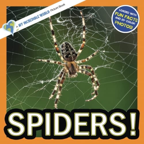 Cover of Spiders!