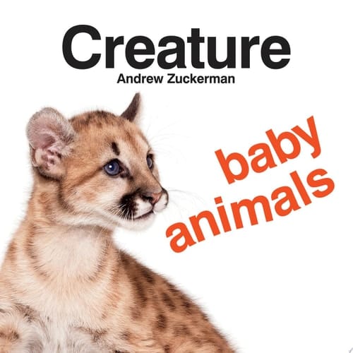 Cover of Creature Baby Animals