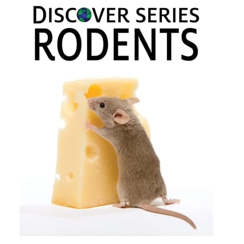 Cover of Rodents Discover Series Picture Book for Children