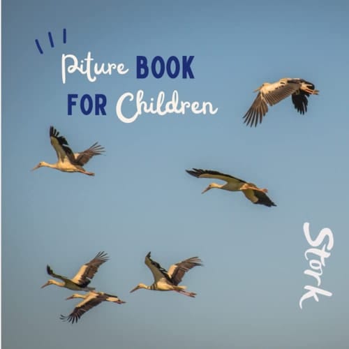 Cover of Picture book for children -Stork: Discovering Stork in pictures