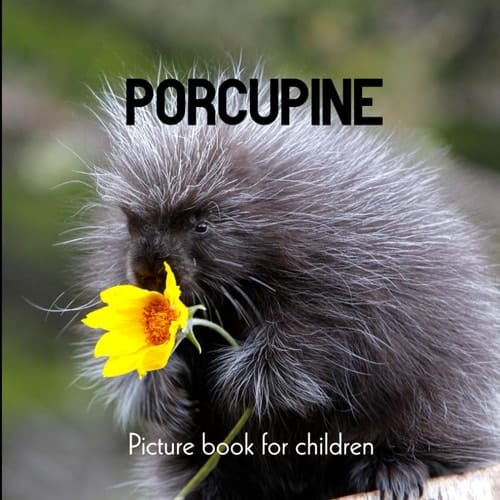 Cover of Porcupine Picture Book for Children