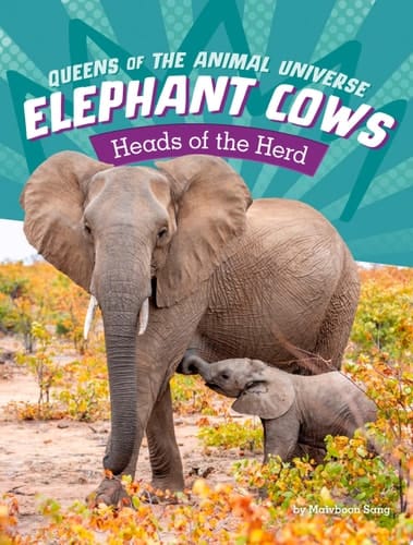 Cover of Elephant Cows Heads of the Herd