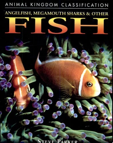 Cover of Angelfish, Megamouth Sharks, and Other Fish