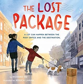 Cover of The Lost Package